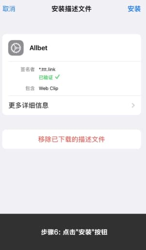 欧博 iOS 客户端下载安装与系统配置全流程示意图6