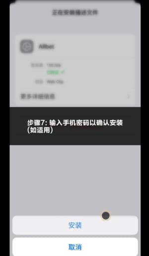 欧博 iOS 客户端下载安装与系统配置全流程示意图7