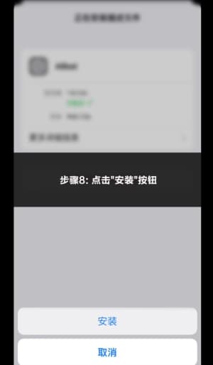 欧博 iOS 客户端下载安装与系统配置全流程示意图8